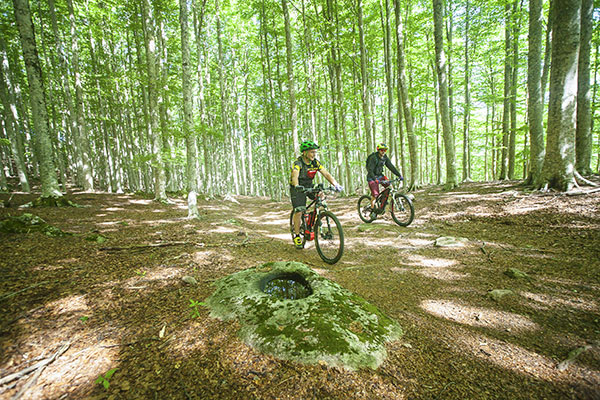 Escursioni in Bici sul Monte Amiata - Booking Amiata