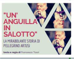Un Anguilla in salotto